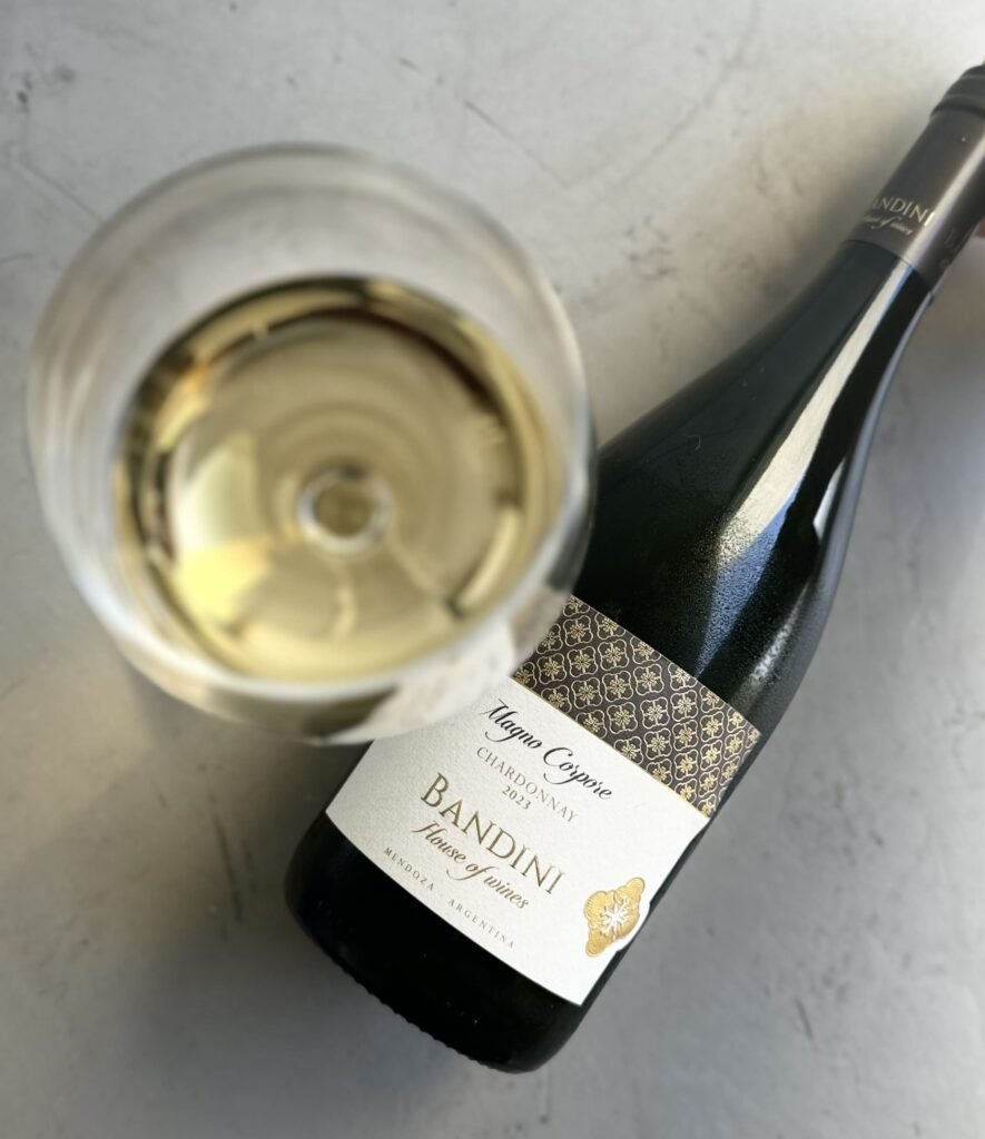 finca-bandini-house-of-wines-Magno Corpore Chardonnay