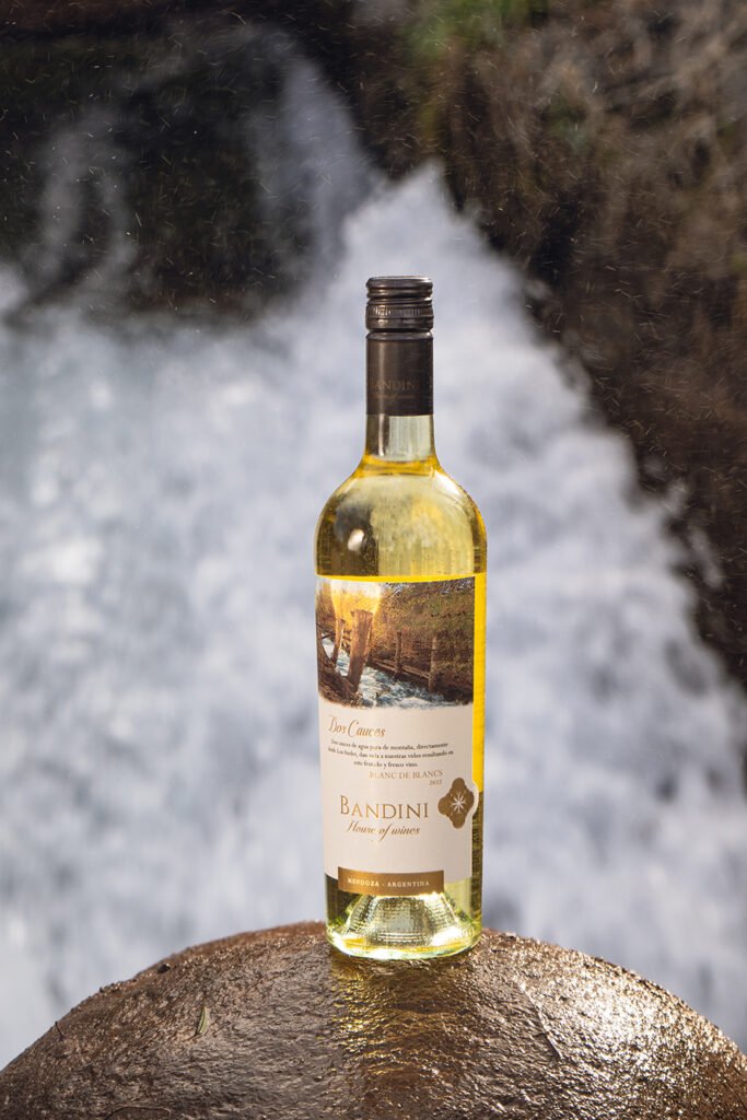 finca-bandini-house-of-wines-las-compuertas-dos-cauces-vino-Dos-Cauces-Blanc-de-Blancs-2