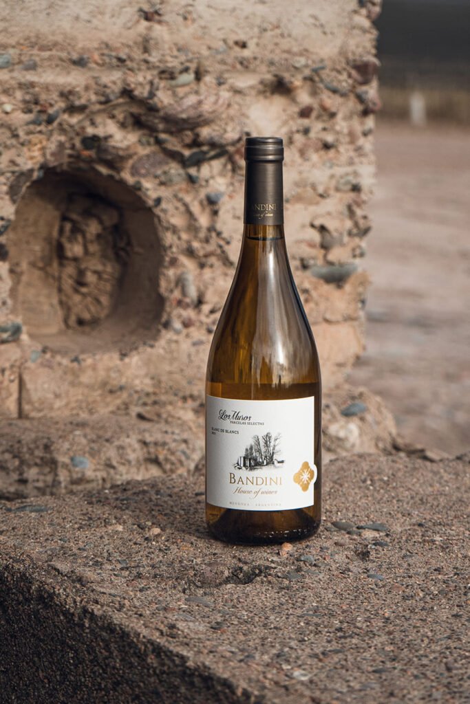finca-bandini-house-of-wines-las-compuertas-dos-cauces-vino-Los-Muros-Blanc-3