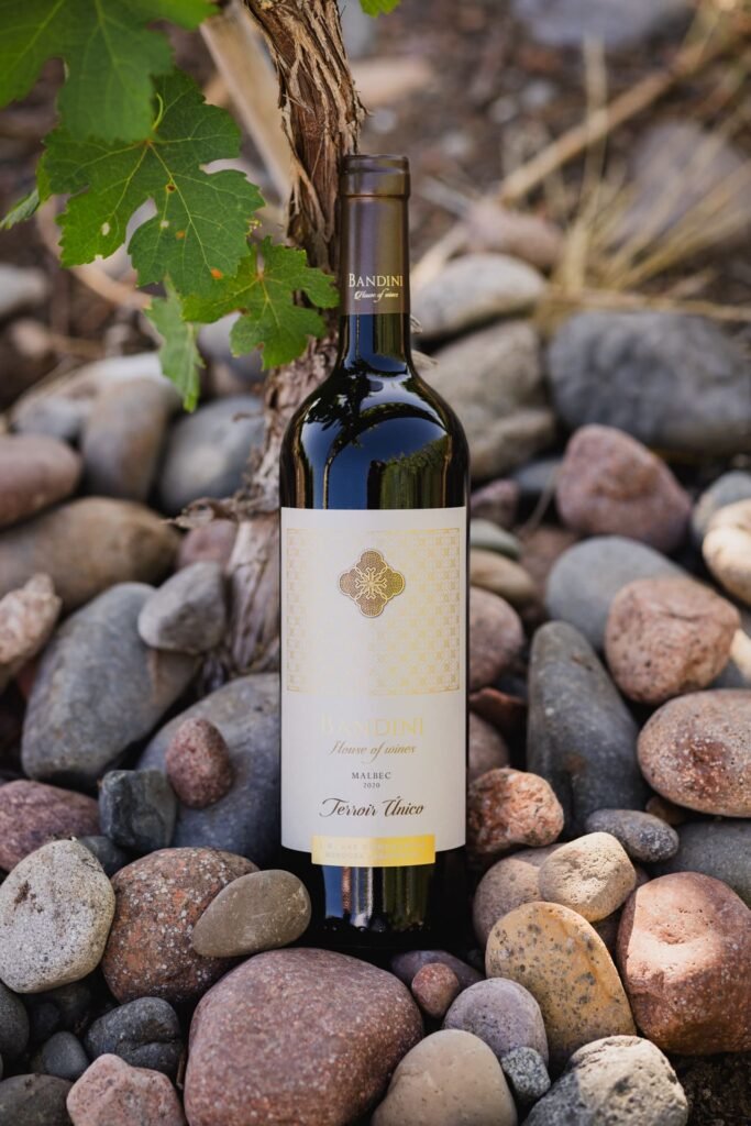 finca-bandini-house-of-wines-las-compuertas-dos-cauces-vino-Terroir-Unico-2