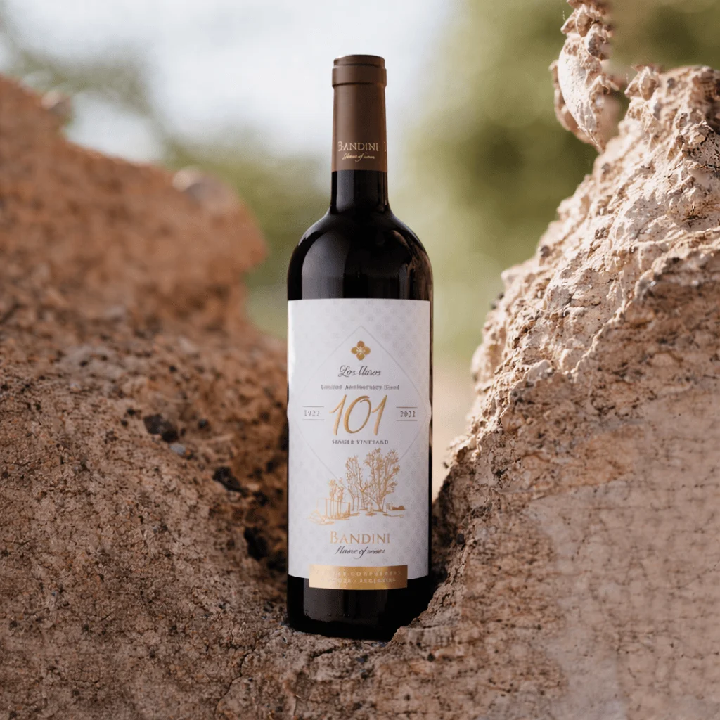 Bottle of Bandini wine on stone