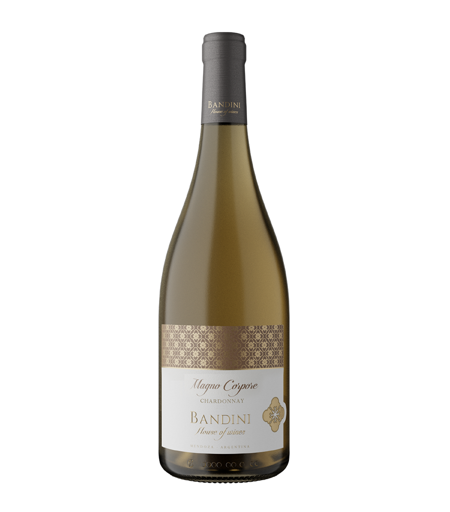 2023 Magno Corpore Chardonnay